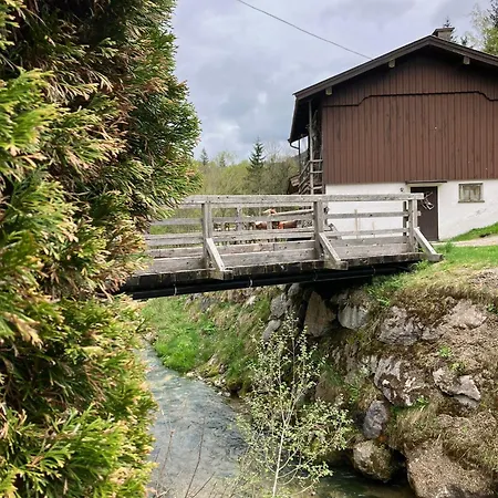 Fiechtl Διαμέρισμα Leogang